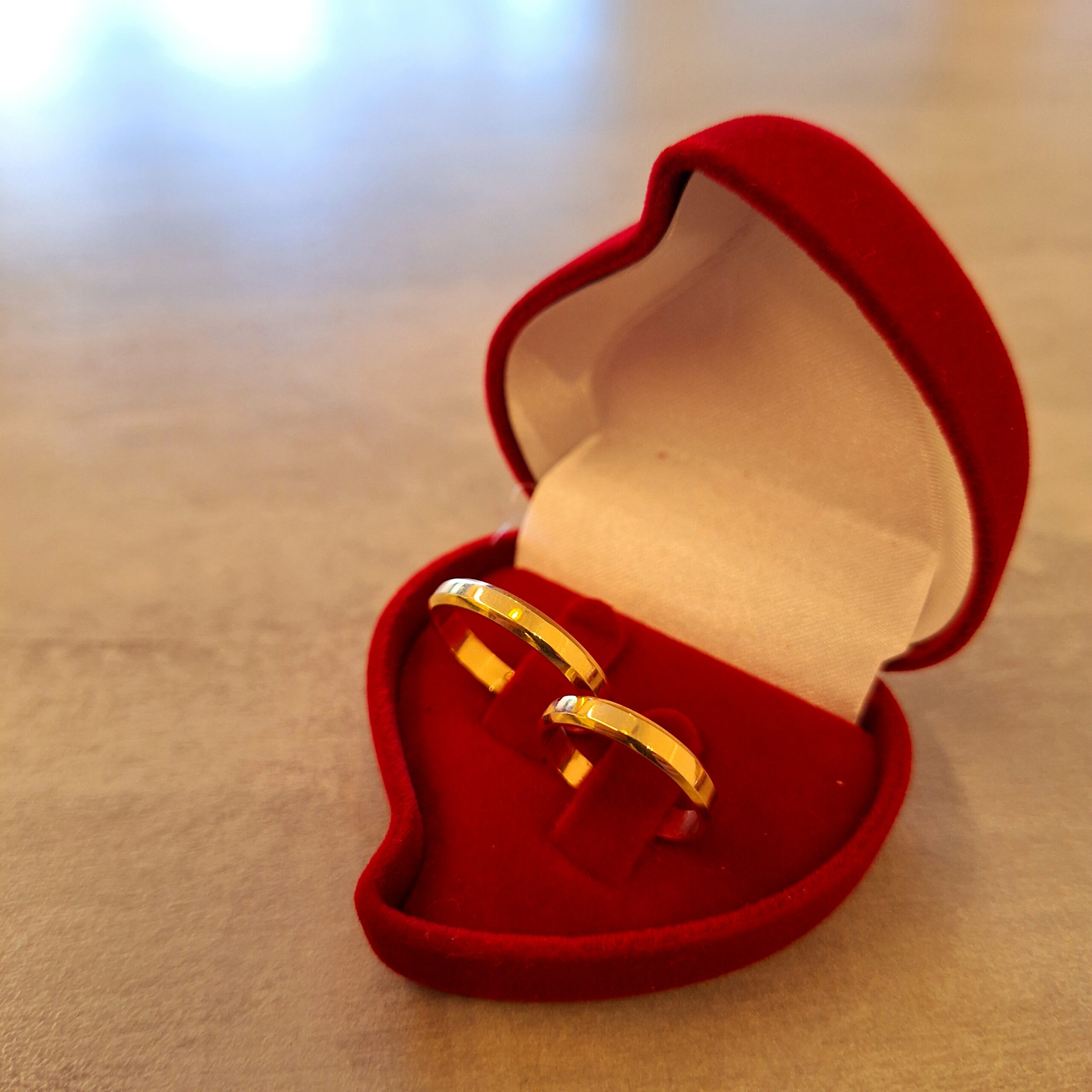 Le_Blanc_Joalheria_em_Rio_Preto_Aliança de Casamento_Anel_de_Formatura_Joias em Ouro (59)